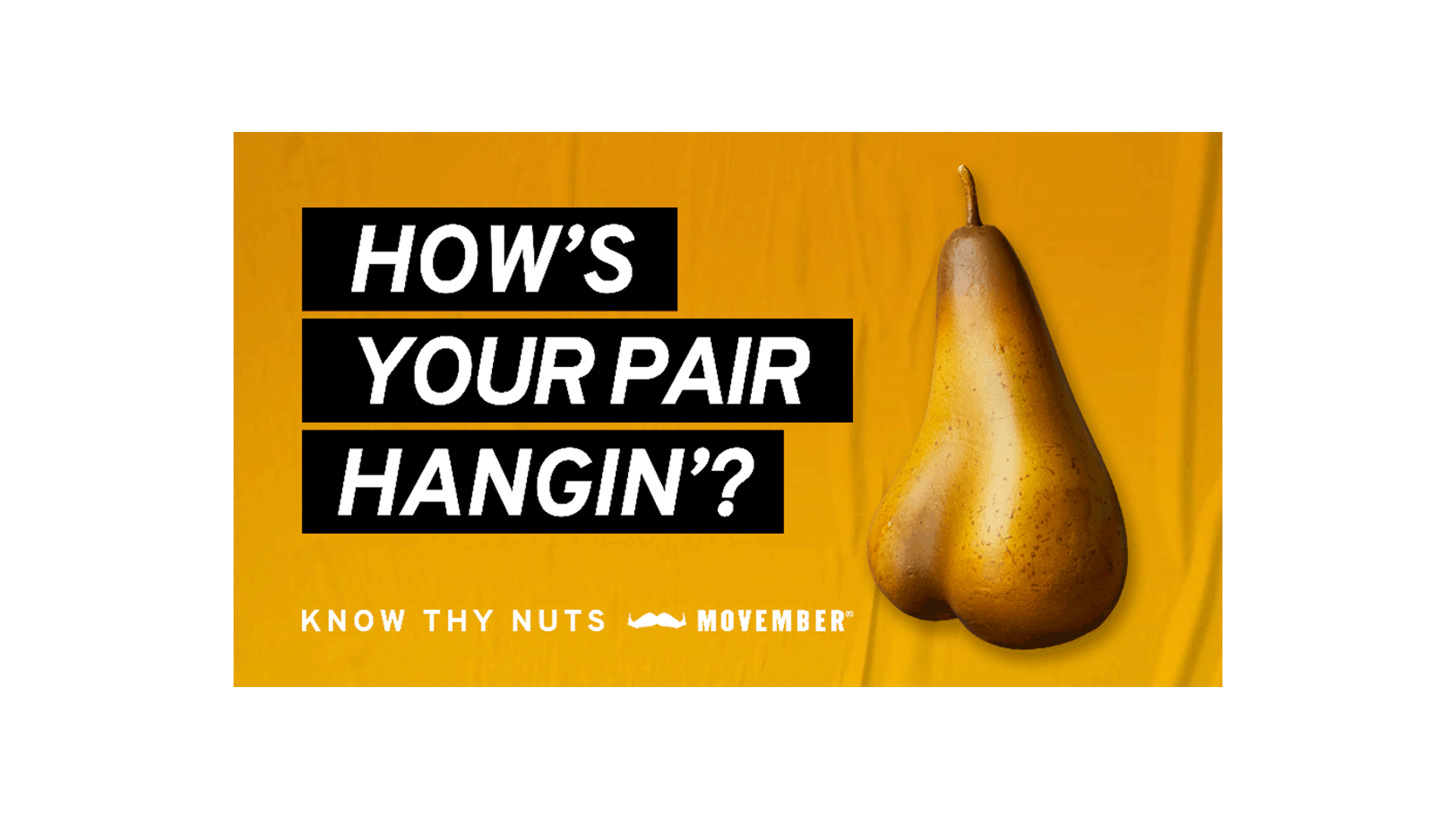 A thumbnail preview of a customisable PowerPoint document for testicular cancer awareness month